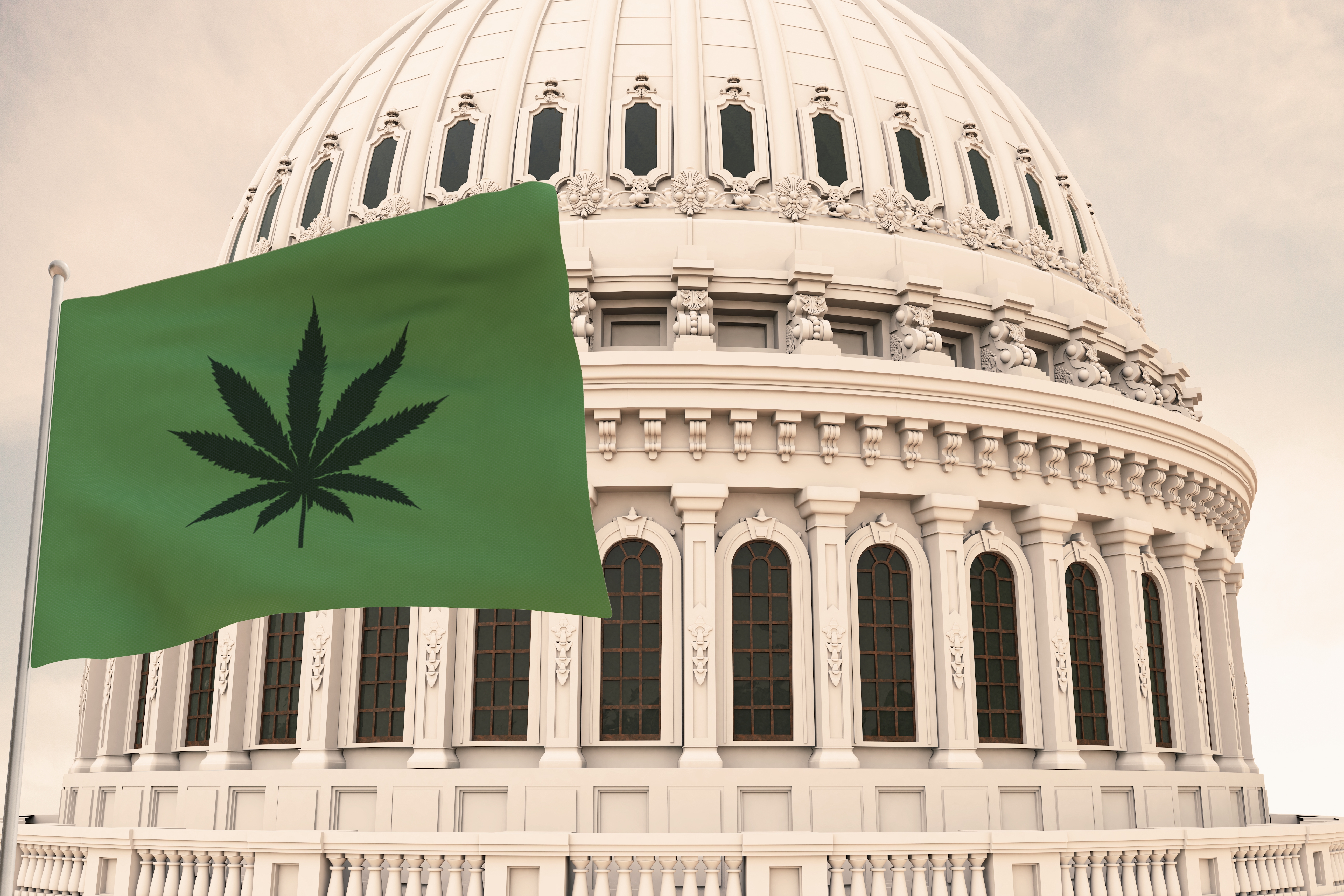 Capital and Cannabis Flag