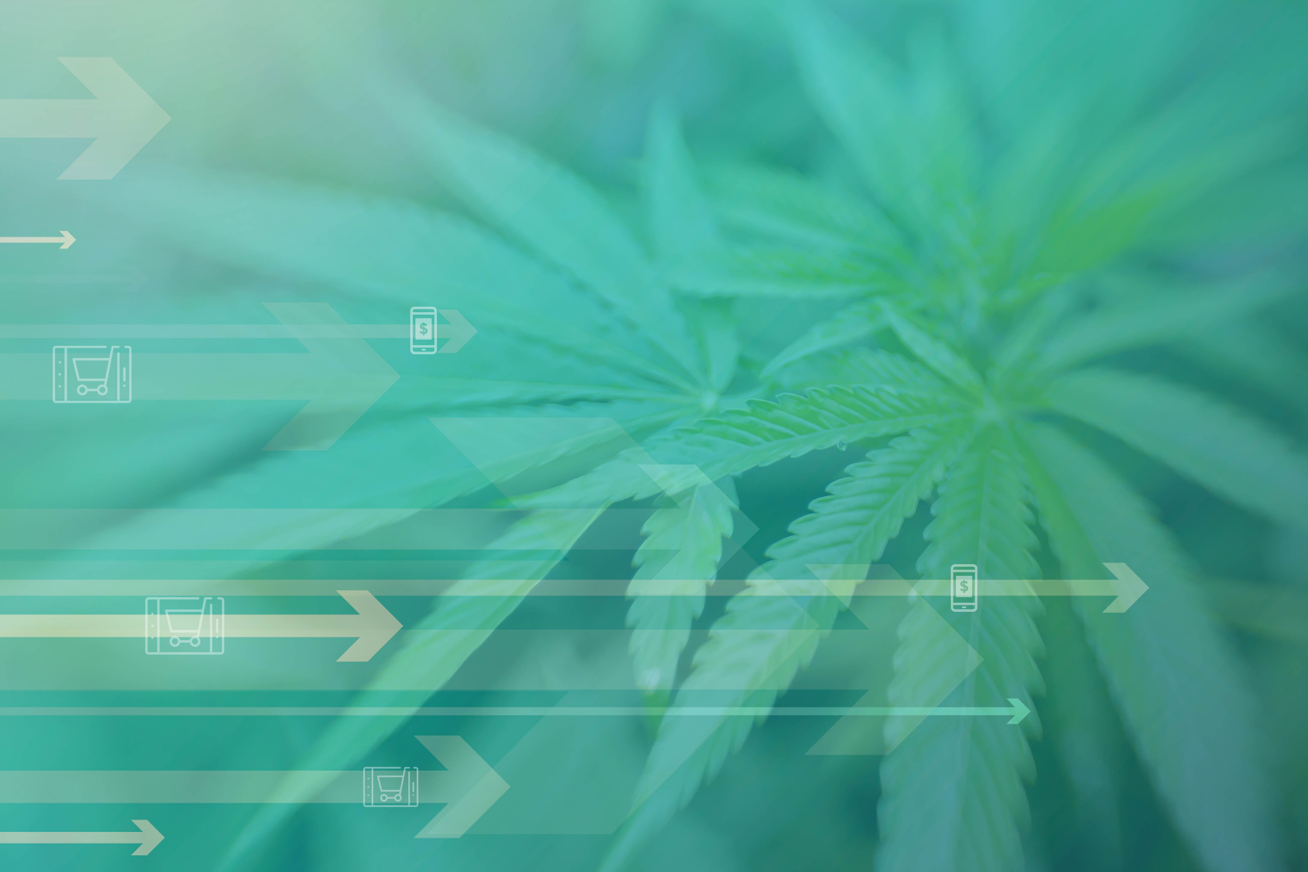 The Cannabis Dispensary Payment Solution that Pays You: BrytePay